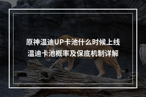 原神温迪UP卡池什么时候上线 温迪卡池概率及保底机制详解