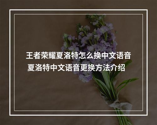 王者荣耀夏洛特怎么换中文语音 夏洛特中文语音更换方法介绍