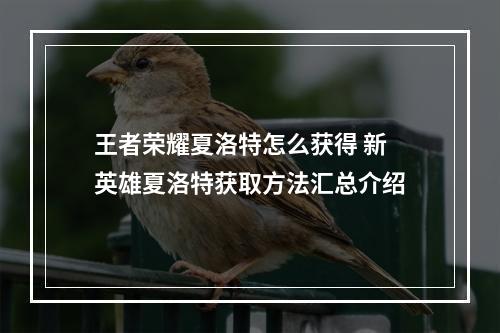 王者荣耀夏洛特怎么获得 新英雄夏洛特获取方法汇总介绍