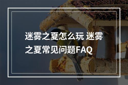 迷雾之夏怎么玩 迷雾之夏常见问题FAQ