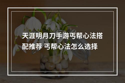 天涯明月刀手游丐帮心法搭配推荐 丐帮心法怎么选择