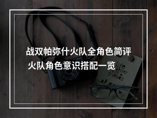 战双帕弥什火队全角色简评 火队角色意识搭配一览