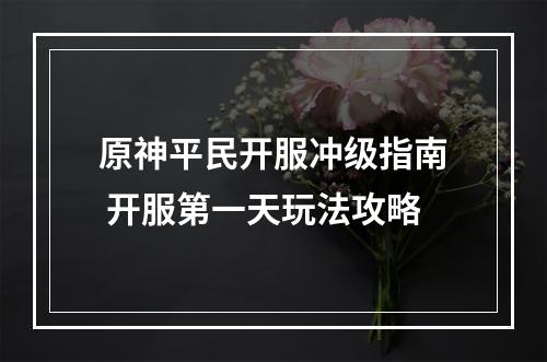 原神平民开服冲级指南 开服第一天玩法攻略