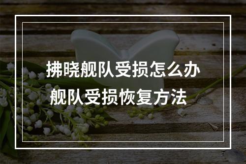 拂晓舰队受损怎么办 舰队受损恢复方法