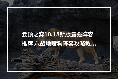 云顶之弈10.18新版最强阵容推荐 八战地赌狗阵容攻略教学