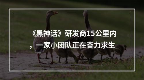 《黑神话》研发商15公里内，一家小团队正在奋力求生