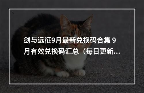 剑与远征9月最新兑换码合集 9月有效兑换码汇总（每日更新）