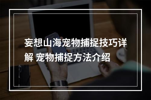 妄想山海宠物捕捉技巧详解 宠物捕捉方法介绍