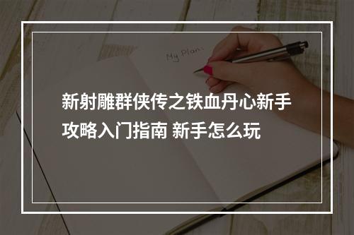 新射雕群侠传之铁血丹心新手攻略入门指南 新手怎么玩