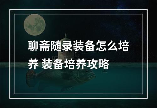 聊斋随录装备怎么培养 装备培养攻略