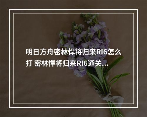 明日方舟密林悍将归来RI6怎么打 密林悍将归来RI6通关攻略