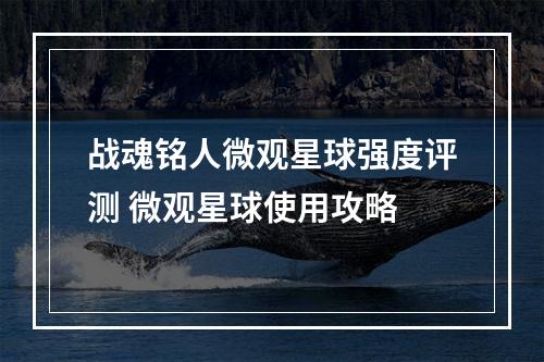 战魂铭人微观星球强度评测 微观星球使用攻略