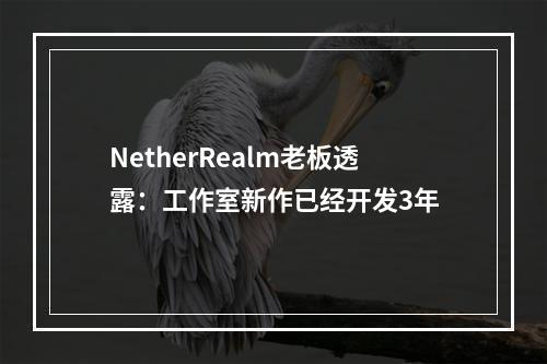 NetherRealm老板透露：工作室新作已经开发3年