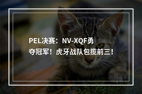 PEL决赛：NV-XQF勇夺冠军！虎牙战队包揽前三！