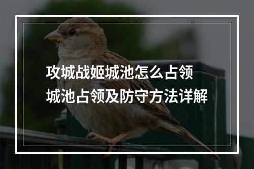 攻城战姬城池怎么占领 城池占领及防守方法详解