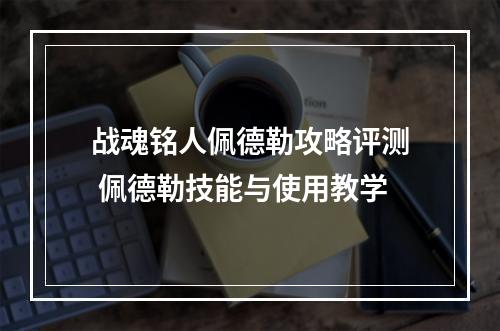 战魂铭人佩德勒攻略评测 佩德勒技能与使用教学