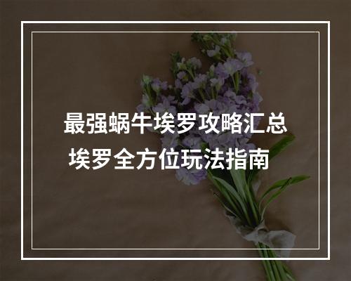 最强蜗牛埃罗攻略汇总 埃罗全方位玩法指南