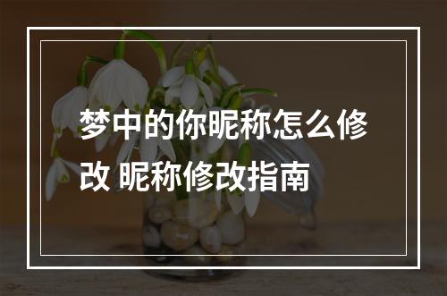 梦中的你昵称怎么修改 昵称修改指南