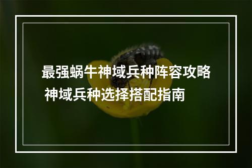 最强蜗牛神域兵种阵容攻略 神域兵种选择搭配指南