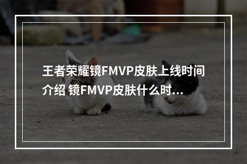 王者荣耀镜FMVP皮肤上线时间介绍 镜FMVP皮肤什么时候上线