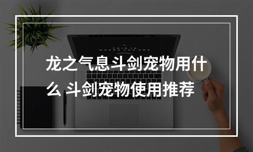 龙之气息斗剑宠物用什么 斗剑宠物使用推荐