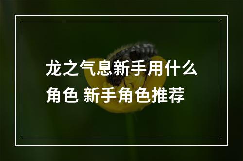 龙之气息新手用什么角色 新手角色推荐