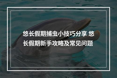 悠长假期捕虫小技巧分享 悠长假期新手攻略及常见问题