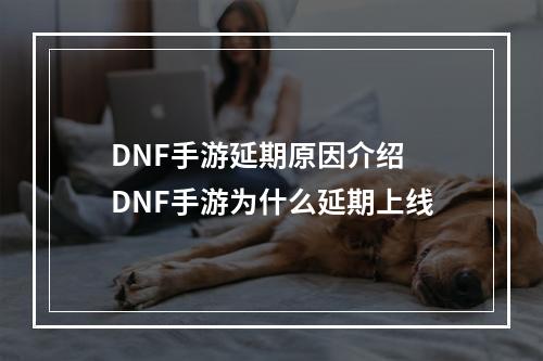 DNF手游延期原因介绍 DNF手游为什么延期上线