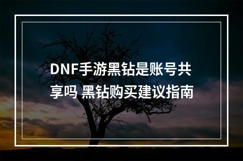 DNF手游黑钻是账号共享吗 黑钻购买建议指南