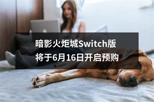 暗影火炬城Switch版将于6月16日开启预购