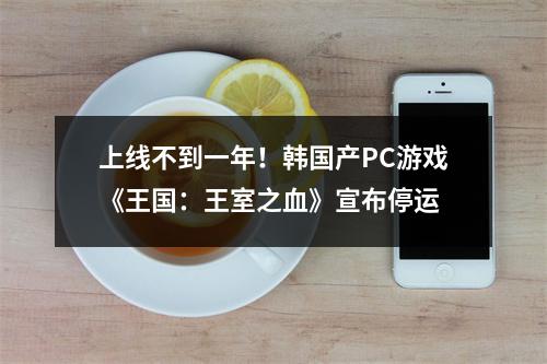 上线不到一年！韩国产PC游戏《王国：王室之血》宣布停运