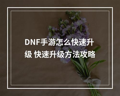 DNF手游怎么快速升级 快速升级方法攻略