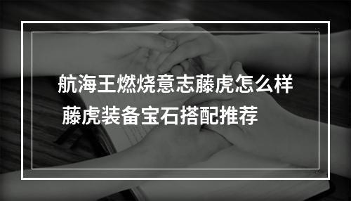 航海王燃烧意志藤虎怎么样 藤虎装备宝石搭配推荐