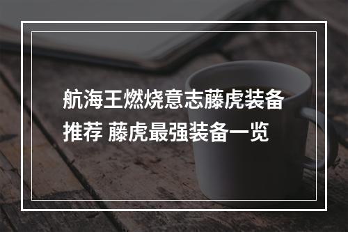 航海王燃烧意志藤虎装备推荐 藤虎最强装备一览