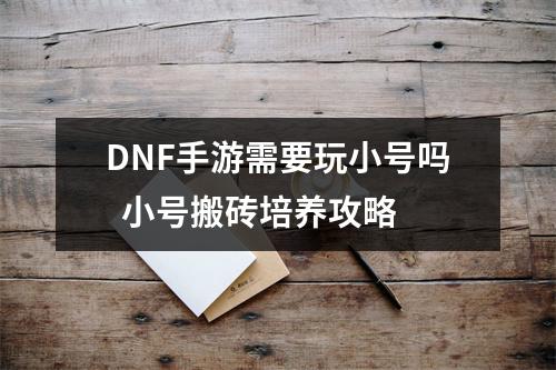 DNF手游需要玩小号吗  小号搬砖培养攻略