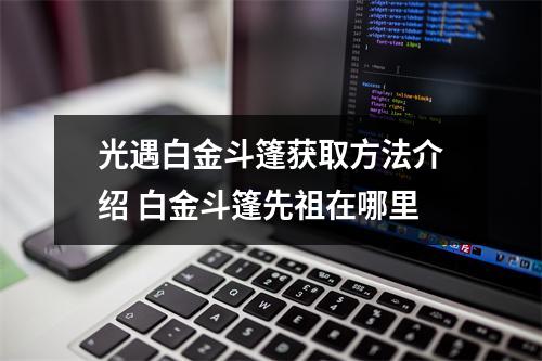 光遇白金斗篷获取方法介绍 白金斗篷先祖在哪里