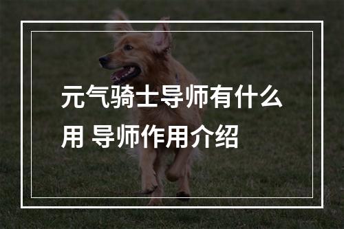 元气骑士导师有什么用 导师作用介绍