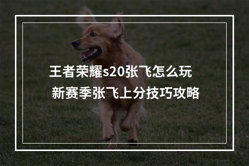 王者荣耀s20张飞怎么玩 新赛季张飞上分技巧攻略