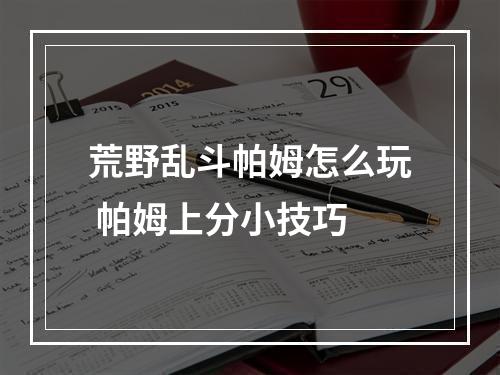 荒野乱斗帕姆怎么玩 帕姆上分小技巧