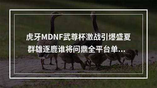 虎牙MDNF武尊杯激战引爆盛夏 群雄逐鹿谁将问鼎全平台单职业第一人