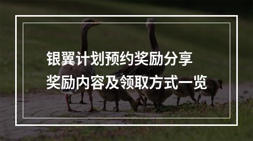 银翼计划预约奖励分享 奖励内容及领取方式一览