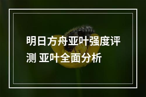 明日方舟亚叶强度评测 亚叶全面分析