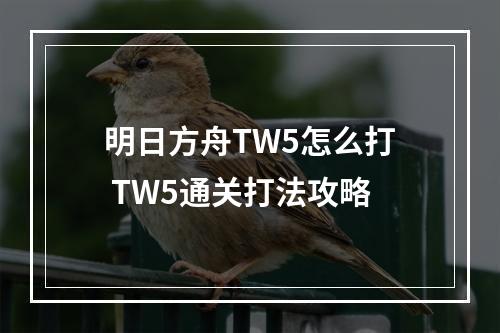 明日方舟TW5怎么打 TW5通关打法攻略