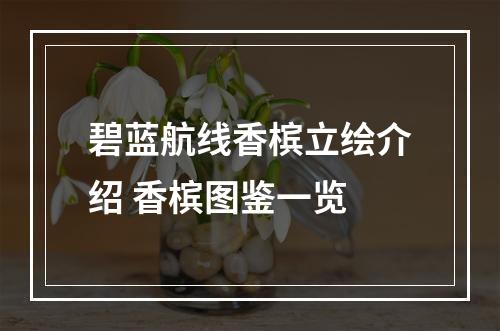 碧蓝航线香槟立绘介绍 香槟图鉴一览