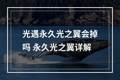 光遇永久光之翼会掉吗 永久光之翼详解