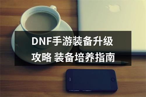 DNF手游装备升级攻略 装备培养指南