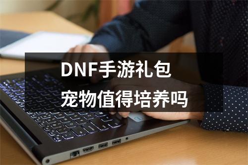 DNF手游礼包宠物值得培养吗