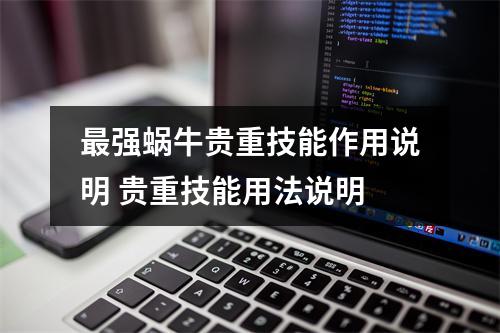 最强蜗牛贵重技能作用说明 贵重技能用法说明