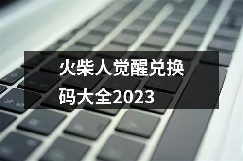 火柴人觉醒兑换码大全2023