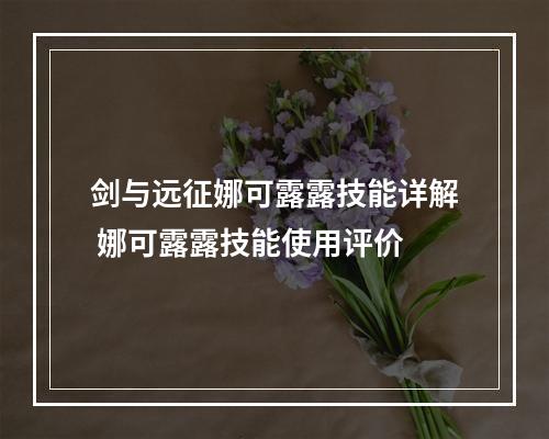 剑与远征娜可露露技能详解 娜可露露技能使用评价